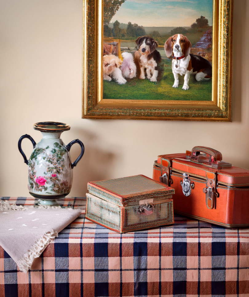 The Original: Official Estate Sale in a Box™